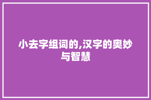 小去字组词的,汉字的奥妙与智慧