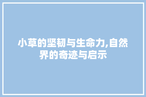 小草的坚韧与生命力,自然界的奇迹与启示