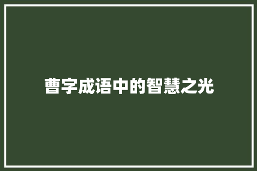 曹字成语中的智慧之光