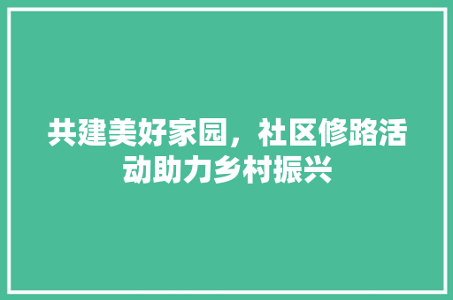 共建美好家园，社区修路活动助力乡村振兴