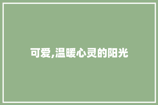 可爱,温暖心灵的阳光