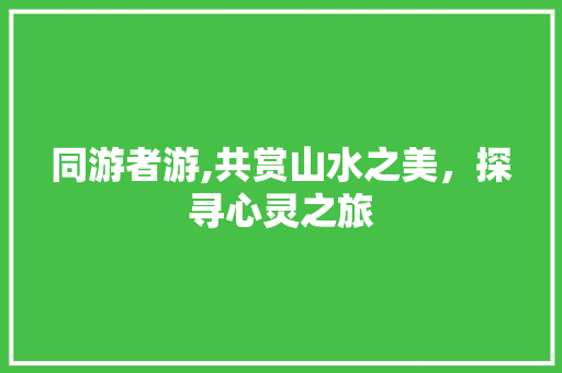 同游者游,共赏山水之美，探寻心灵之旅