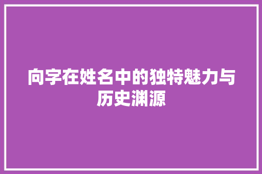 向字在姓名中的独特魅力与历史渊源
