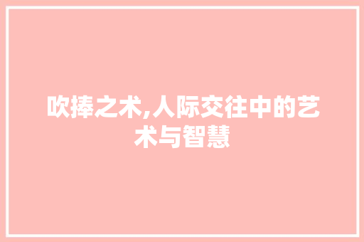 吹捧之术,人际交往中的艺术与智慧 工作类