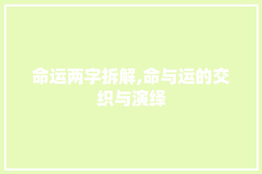 命运两字拆解,命与运的交织与演绎