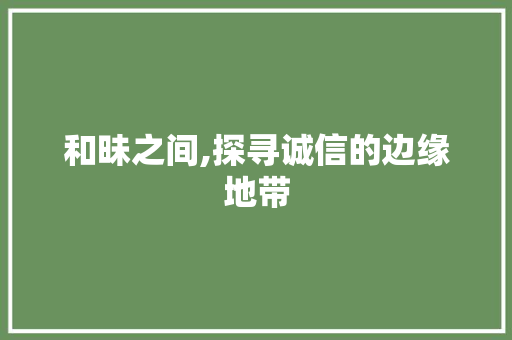 和昧之间,探寻诚信的边缘地带