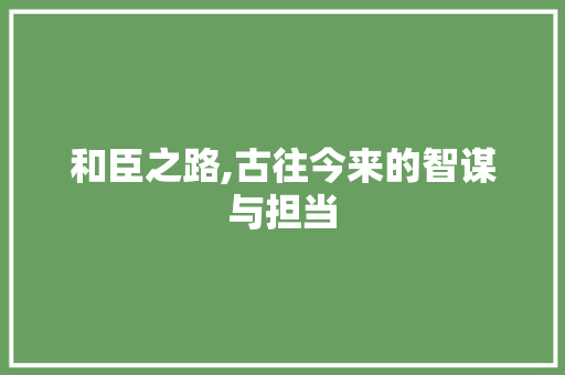 和臣之路,古往今来的智谋与担当