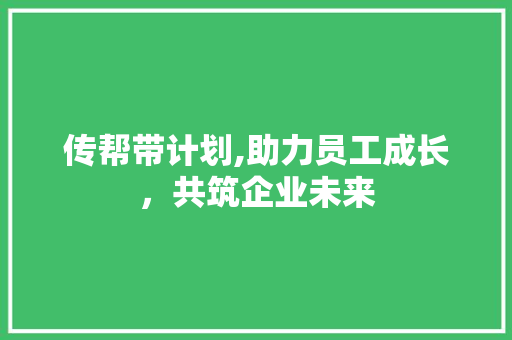 传帮带计划,助力员工成长，共筑企业未来