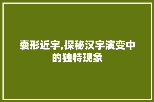 囊形近字,探秘汉字演变中的独特现象