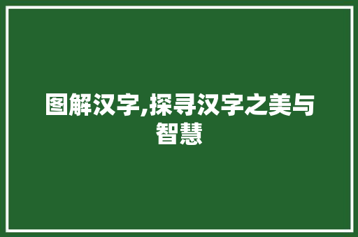 图解汉字,探寻汉字之美与智慧