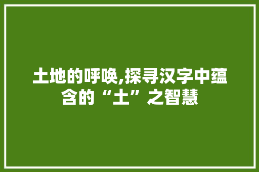 土地的呼唤,探寻汉字中蕴含的“土”之智慧