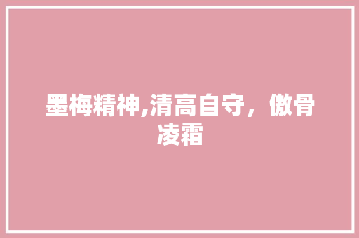 墨梅精神,清高自守，傲骨凌霜