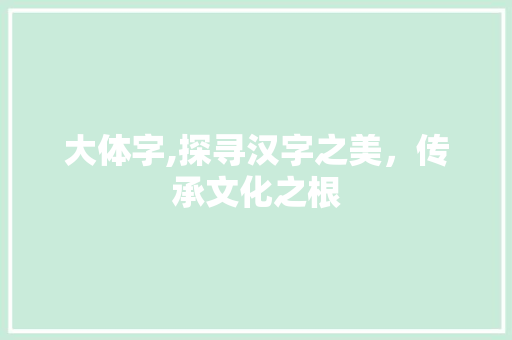 大体字,探寻汉字之美，传承文化之根
