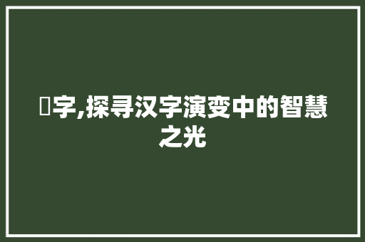 夵字,探寻汉字演变中的智慧之光