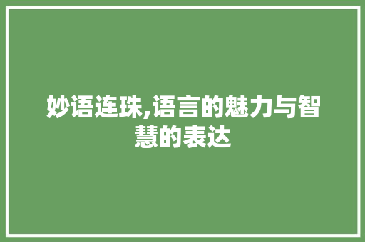妙语连珠,语言的魅力与智慧的表达