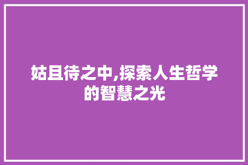 姑且待之中,探索人生哲学的智慧之光