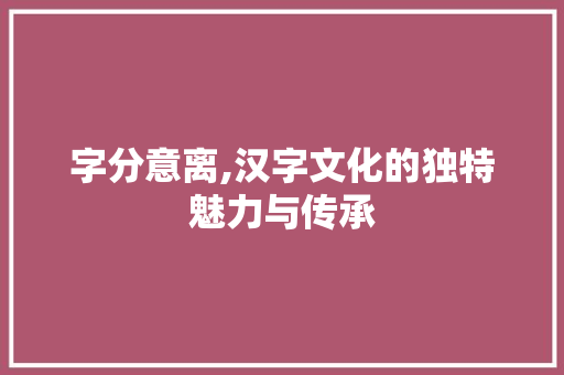字分意离,汉字文化的独特魅力与传承
