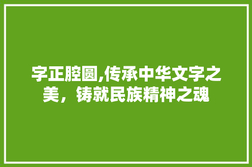 字正腔圆,传承中华文字之美，铸就民族精神之魂