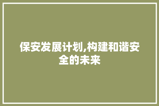 保安发展计划,构建和谐安全的未来