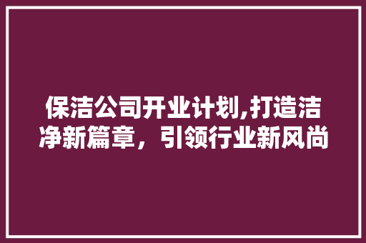 保洁公司开业计划,打造洁净新篇章，引领行业新风尚