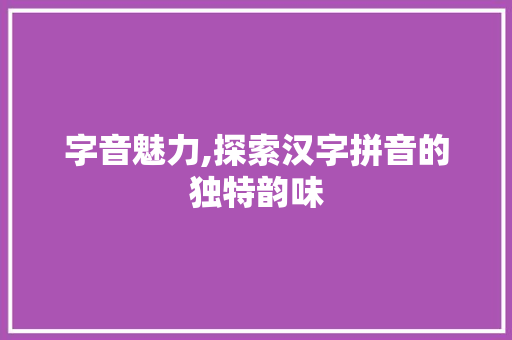 字音魅力,探索汉字拼音的独特韵味