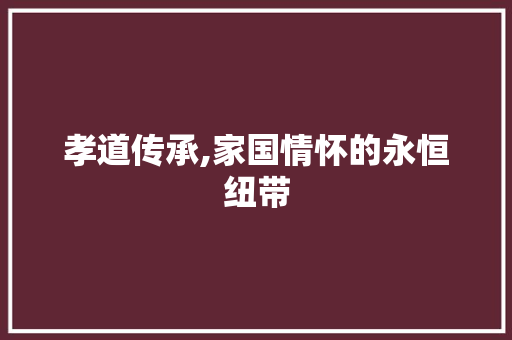 孝道传承,家国情怀的永恒纽带