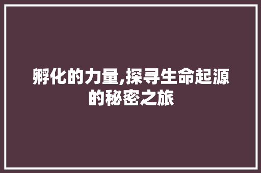 孵化的力量,探寻生命起源的秘密之旅