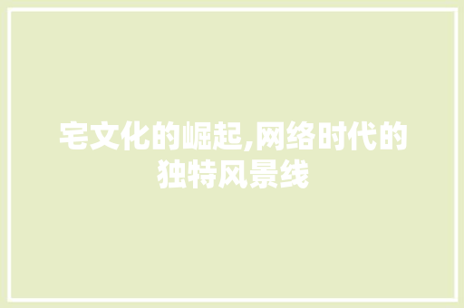 宅文化的崛起,网络时代的独特风景线