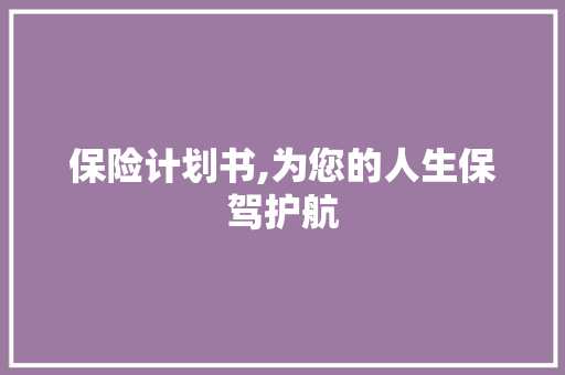 保险计划书,为您的人生保驾护航