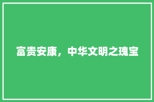 富贵安康，中华文明之瑰宝