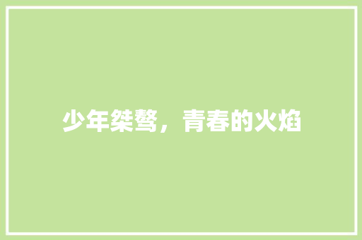 少年桀骜，青春的火焰 工作总结
