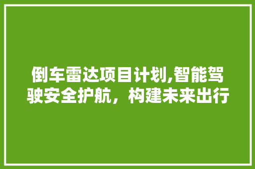 倒车雷达项目计划,智能驾驶安全护航，构建未来出行新篇章