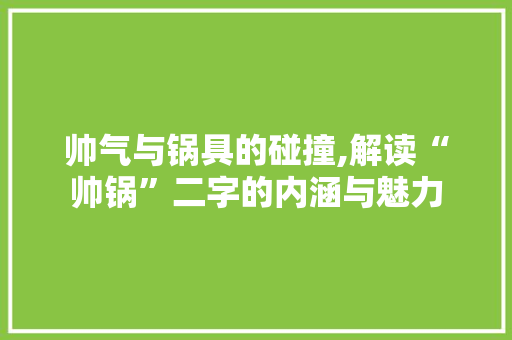 帅气与锅具的碰撞,解读“帅锅”二字的内涵与魅力