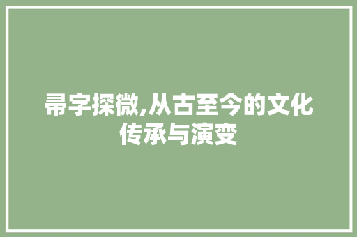 帚字探微,从古至今的文化传承与演变