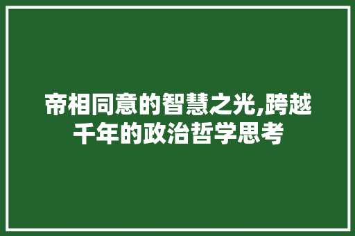 帝相同意的智慧之光,跨越千年的政治哲学思考 工作类