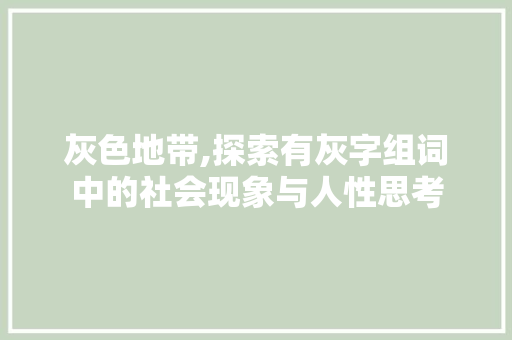 灰色地带,探索有灰字组词中的社会现象与人性思考