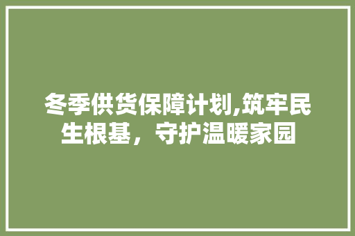 冬季供货保障计划,筑牢民生根基，守护温暖家园