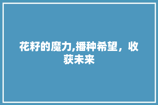 花籽的魔力,播种希望，收获未来