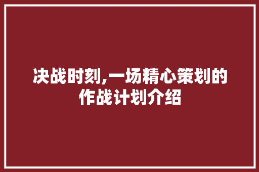 决战时刻,一场精心策划的作战计划介绍