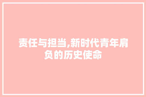 责任与担当,新时代青年肩负的历史使命