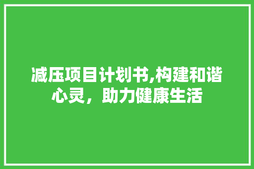 减压项目计划书,构建和谐心灵，助力健康生活