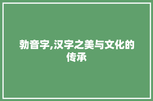 勃音字,汉字之美与文化的传承 采访稿