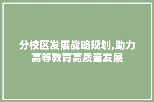分校区发展战略规划,助力高等教育高质量发展
