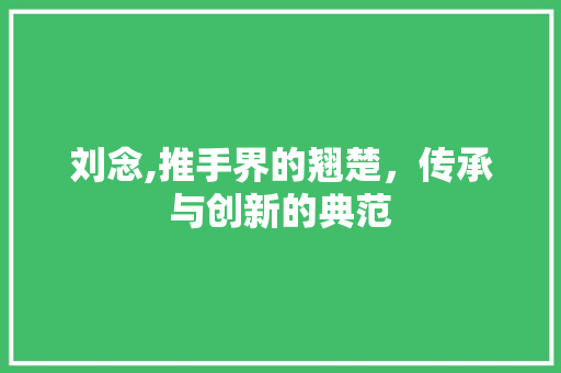 刘念,推手界的翘楚，传承与创新的典范