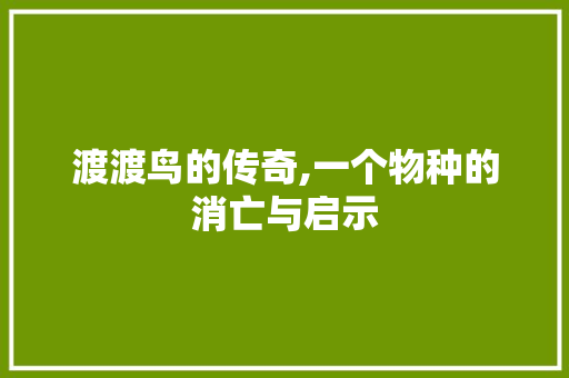 渡渡鸟的传奇,一个物种的消亡与启示