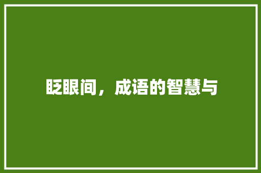 眨眼间，成语的智慧与