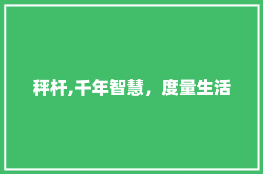 秤杆,千年智慧，度量生活