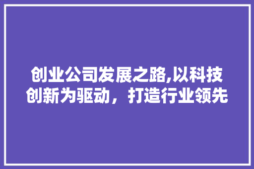 创业公司发展之路,以科技创新为驱动，打造行业领先品牌