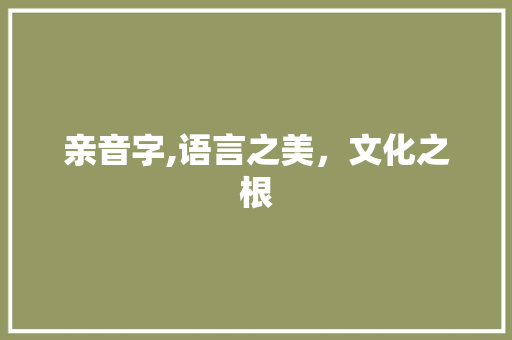亲音字,语言之美，文化之根