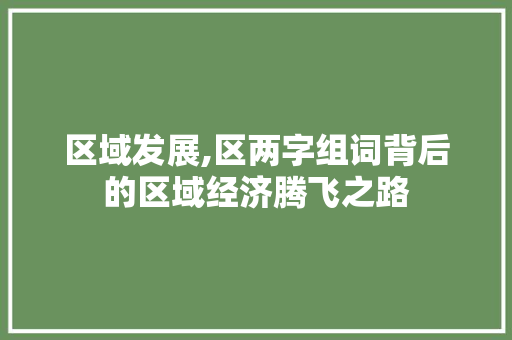 区域发展,区两字组词背后的区域经济腾飞之路